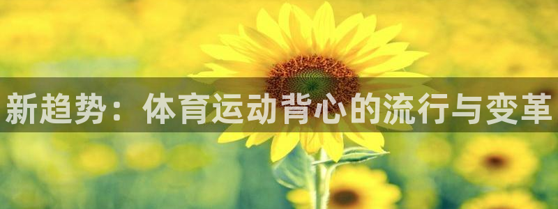 尊龙官方正版app开户：新趋势：体育运动背心的流行与变革