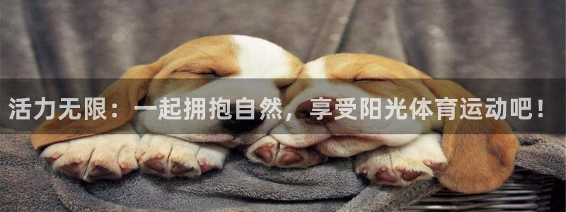 尊龙官网下载招商：活力无限：一起拥抱自然，享受阳光体