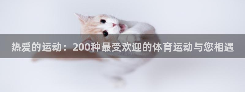 尊龙官方正版app新能源：热爱的运动：200种最受欢