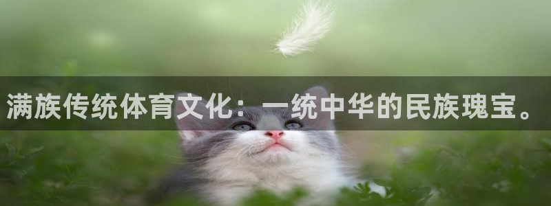 尊龙官方正版app娱乐首页网站大全：满族传统体育文化