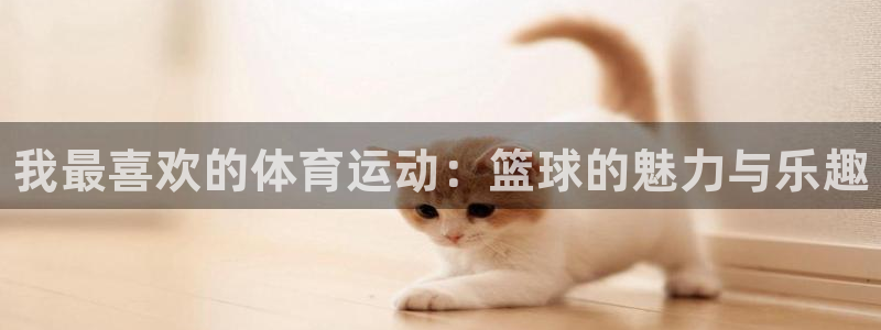 尊龙官网下载招商电话号码查询：我最喜欢的体育运动：篮