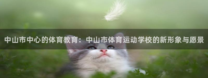 尊龙官方正版app集团logo