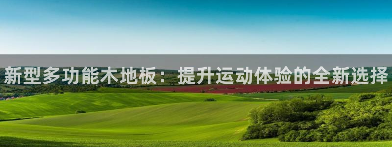 尊龙官网下载招商电话是多少：新型多功能木地板：提升运