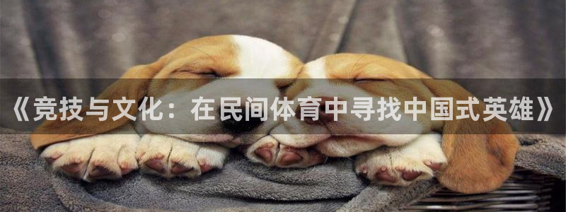 尊龙官网下载平台是正规平台吗：《竞技与文化：在民间体育中寻找