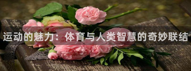 尊龙官网下载招商电话号码是多少号