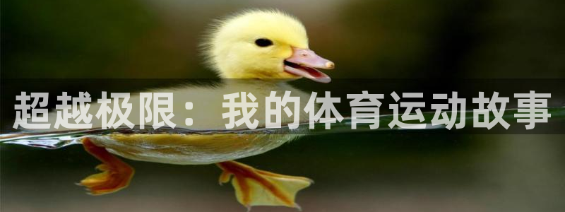 尊龙官网下载平台注册要钱吗是真的吗：超越极限：我的体育运动故