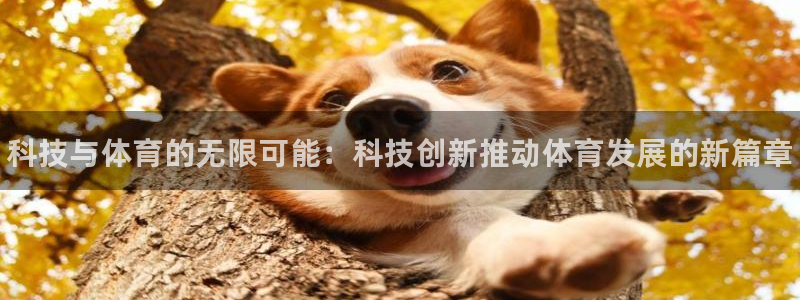 尊龙官网下载平台注册要钱吗安全吗：科技与体育的无限可能：科技