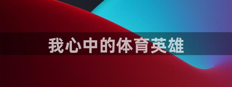 尊龙官网下载平台注册流程图：我心中的体育英雄