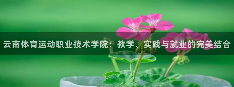 尊龙官网下载招商电话是多少啊：云南体育运动职业技术学院：教学