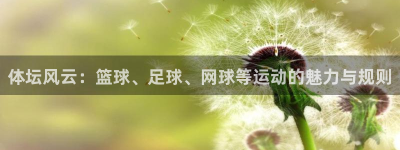 尊龙官网下载招商电话是多少啊