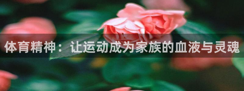 尊龙官网下载平台是正规平台吗