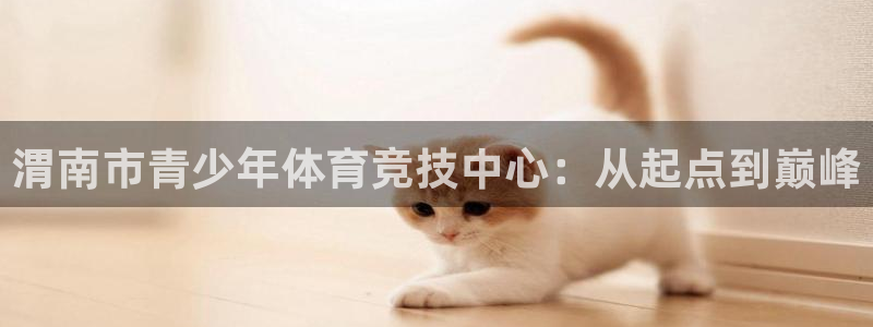 尊龙官网下载平台注册：渭南市青少年体育竞技中心：从起点到巅峰