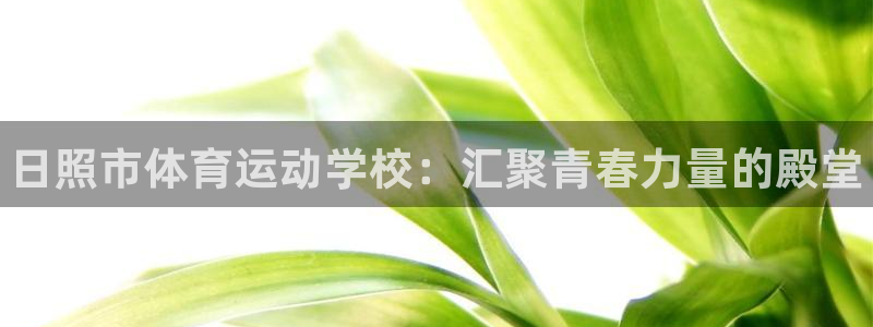 尊龙官网下载招商电话号码是多少：日照市体育运动学校：汇聚青春