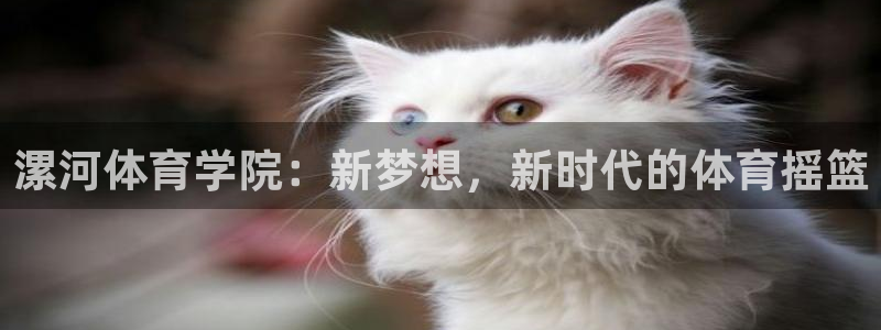 尊龙官方正版app神州：漯河体育学院：新梦想，新时代