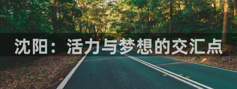 尊龙官方正版app新能源：沈阳：活力与梦想的交汇点