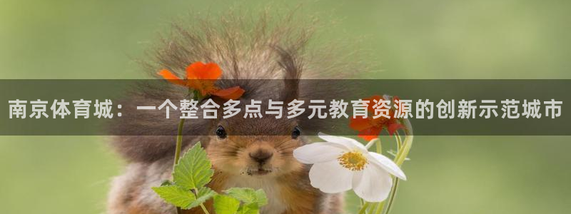 尊龙官方正版app娱乐是那个系列的台子：南京体育城：一个整合