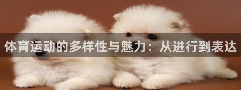 尊龙官网下载娱乐