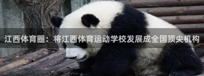 尊龙官方正版app官方：江西体育圈：将江西体育运动学校发展成