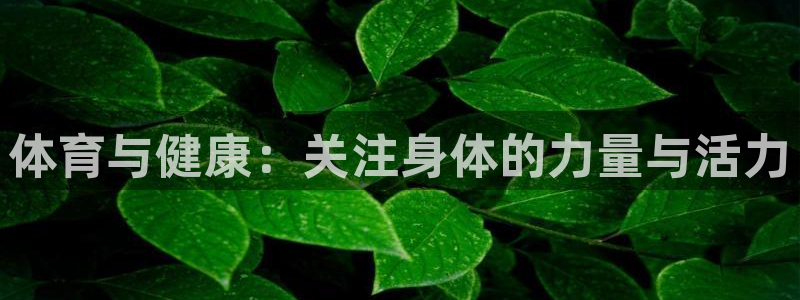 尊龙官网下载官方客服电话：体育与健康：关注身体的力量与活力