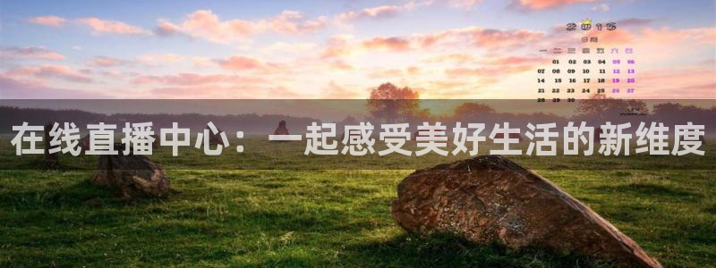 火凤足球直播免费观看全部