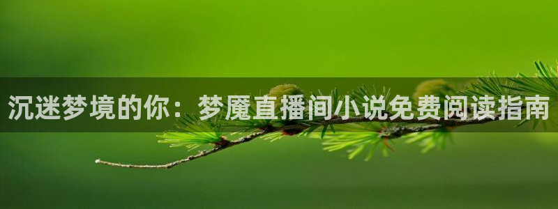 nba直播火凤直播