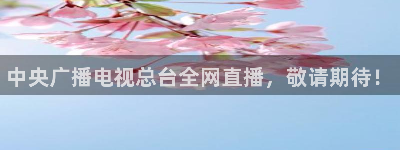 火凤直播篮球免费观看
