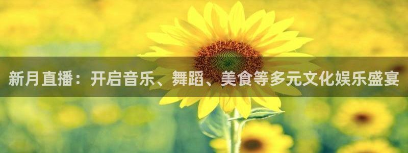 火凤直播nba