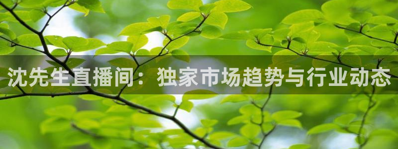 火凤体育赛事直播