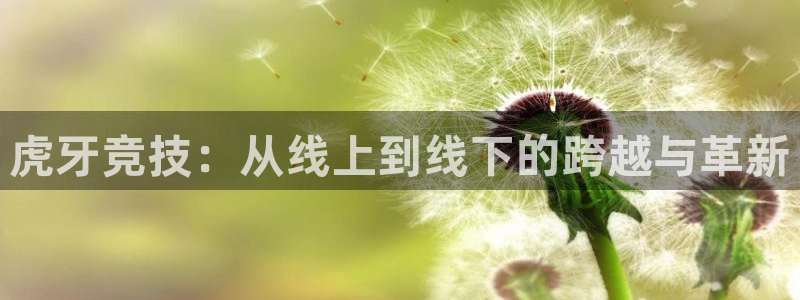 火凤足球比赛直播