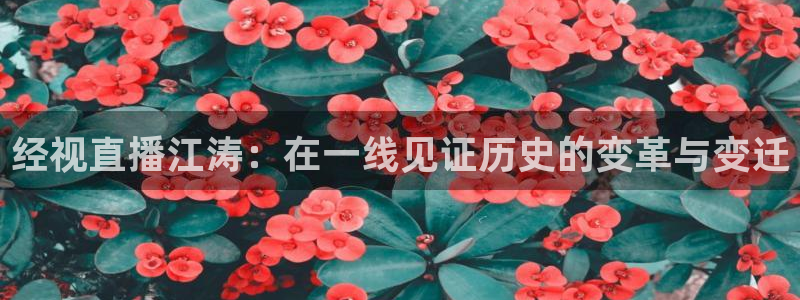 火凤直播nba