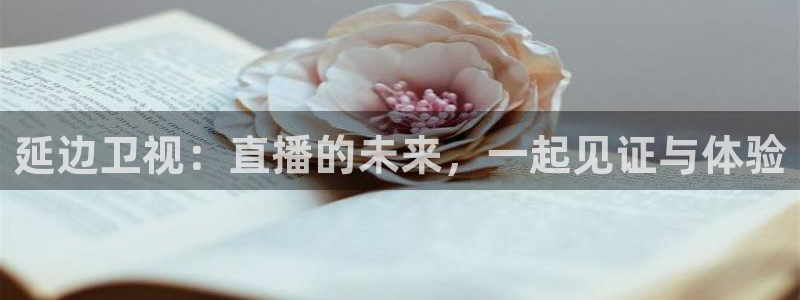 火凤直播体育直播：延边卫视：直播的未来，一起见证与体验