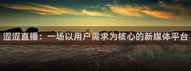 nba火凤体育免费直播：涩涩直播：一场以用户需求为核心的新媒体平台